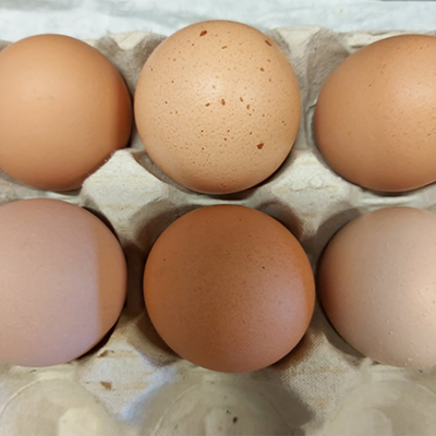 photo d'œufs bio de la ferme du prieuré
